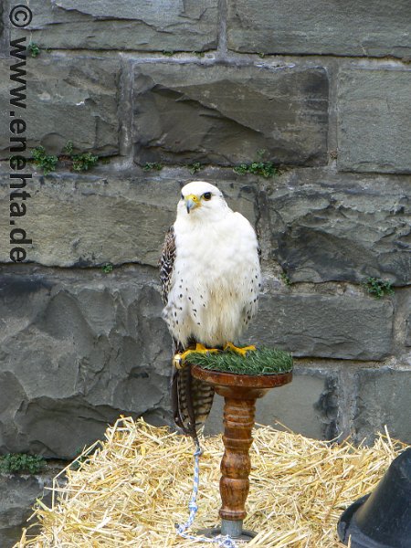 Mittelaltermark_Altena_2011 (132).jpg